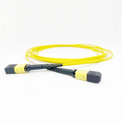 Dây nhảy quang Singlemode MPO/MTP