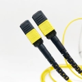 Dây nhảy quang Singlemode MPO/MTP chính hãng - Ảnh nhỏ 3