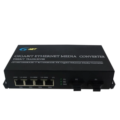 Switch PoE 4 Port G-PES-2GX4GP-SC20S