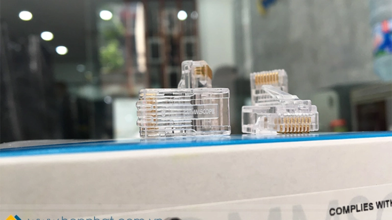 Các loại hạt mạng phổ biến nhất hiện nay