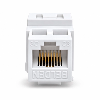 Nhân mạng cat5e Belden