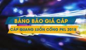 Bảng giá bán lẻ cáp quang luồn cống Singlemode PKL năm 2017