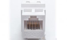 Nhân mạng cat5e Belden