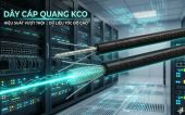 Phân tích thị trường cáp quang và sự nổi bật của KCO